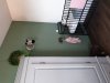 20190820_163547.jpg