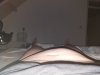 20190828_213000.jpg