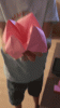20190830_210734.gif