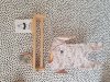 20190830_180236.jpg