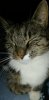 IMG-20190901-WA0026.jpeg