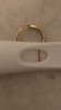 E56F6326-8731-4241-B44D-57E3D07D95B4.png