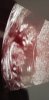 IMG-20190908-WA0037.jpeg