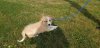20190828_102448.jpg