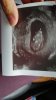 IMG-20190917-WA0007.jpeg