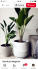 93A47183-A3CB-4DBA-A870-FD9A73B2F0C3.png