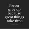 never-give-up-because-great-things-take-time-curiano-comn-14943556.png