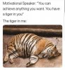 FB_IMG_1568891238166.jpg