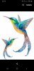 Screenshot_20190909-221833_Gallery.jpg