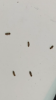 91EAA75C-4483-4989-B080-58AE0E027D00.png