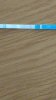 IMG-20190921-WA0006.jpeg