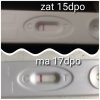 photocollage_2019923121038288.jpg