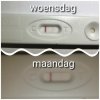 photocollage_201992561725786.jpg