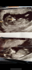 D9034D05-5E12-4658-AD02-88CB13F40BCF.png