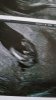 IMG-20190928-WA0039.jpeg