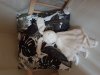 20190929_092626.jpg