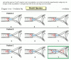B802743F-C109-4516-8A42-A69E7FB4F8E4.gif