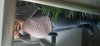 20191002_095727.jpg