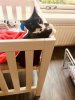 FEE0BFFE-462D-4767-B012-512153B9E0E5.jpeg