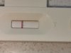 IMG_20191006_162805.jpg