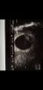 Screenshot_20191011-143857_Gallery.jpg