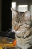DSC_0894.jpg