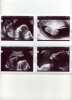 Echo 19-2-2013.jpg