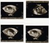 scan_Letty_21_02_2013_Verscherpt.jpg