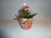 plantenpotje klein.jpg