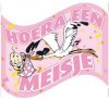 Hoera%20een%20meisje%20vlag.jpg