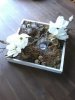 2013-02-26 09.23.39.jpg