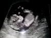 20130227_120634.jpg