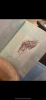 222F2B09-99C5-48CC-BA85-C55082A94AAD.png