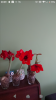 Screenshot_20191017-230916.png