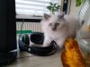 20191019_103733.jpg
