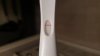IMG-20191022-WA0023.jpeg