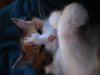 20191006_231332.jpg