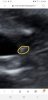 Screenshot_20191024-174124_Samsung Internet.jpg