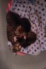 IMG-20191024-WA0033.jpeg