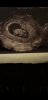 Screenshot_20191025-184120_Gallery.jpg