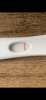 335398DD-5A10-4E28-8D51-088019705CE4.png
