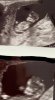 IMG-20191025-WA0005__01__01.jpg