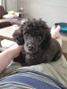 IMG-20191003-WA0003.jpg