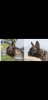 Screenshot_20191027-004547_Gallery.jpg