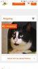 Screenshot_20191029-110751_Chrome.jpg