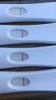 C931222C-240A-4891-A22C-52C4DF61464F.png