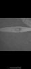 1545763F-634E-4C8E-87D3-9045FF8998D9.png