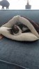 IMG-20191101-WA0000.jpg