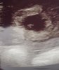 9192176A-97AD-4283-AD19-3E8A7E8C5D45.jpeg