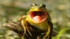 upload_2019-11-2_21-30-31.jpeg